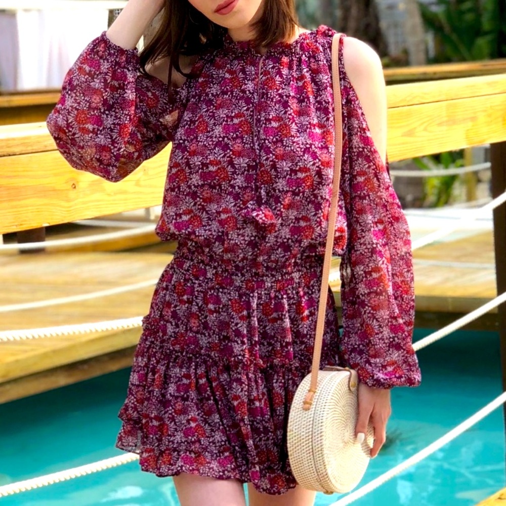 Misa Los Angeles floral print fit and flare long sleeved mini viscose dress